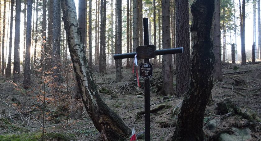 Grób lotników w Borowicach - Przerwany lot ku wolności