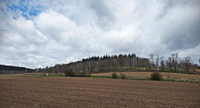 Skalica – dawniej popularny punkt widokowy na Karkonosze