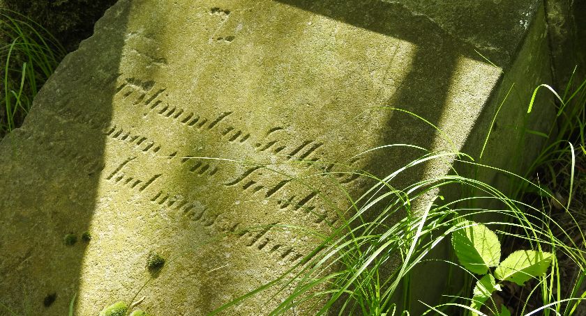 Zrujnowany cmentarz ewangelicki w Brzezińcu - Miejsce niepamięci