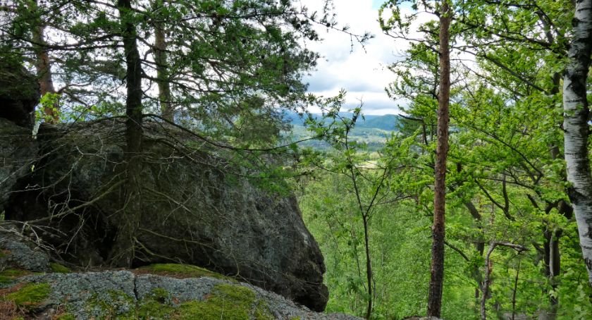 Bukowa – ukryte wzniesienie z widokiem na Karkonosze