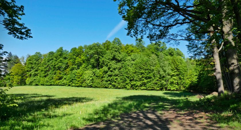 Bukowiec – ukryte wzniesienie