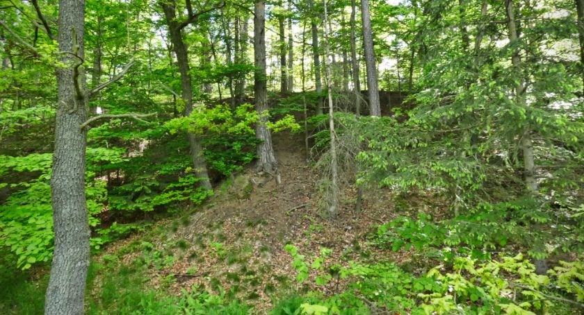 Gęśle – dawniej Fiedel Berg