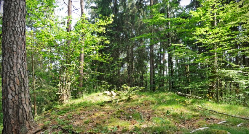 Żeleźniak – dawniej Eisen-Berg