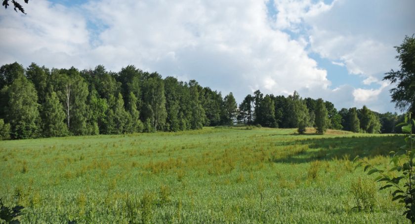 Wrona – wzniesienie przy Słonecznej Dolinie 