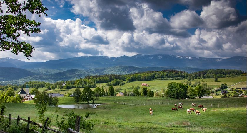 Karkonoskie trasy dla małych i dużych. Dokąd wybrać się z naszymi dziećmi?