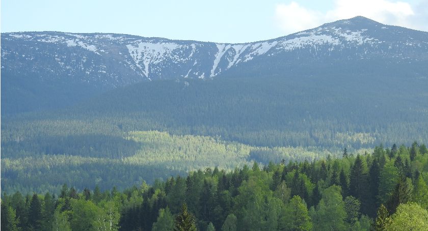 Piętro alpejskie w Karkonoszach