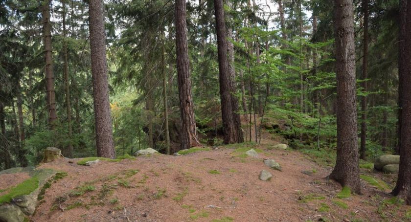 Ochrona przyrody w Karkonoszach