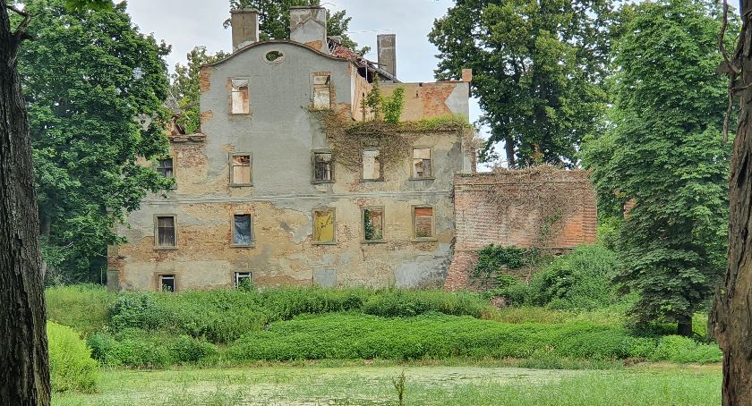 Ruiny pałacu w Sokołowcu Dolnym