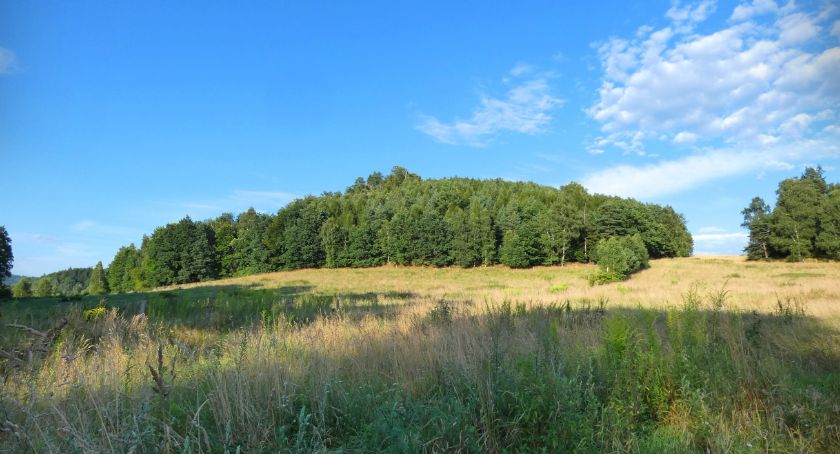 Wzgórze Jeleniec
