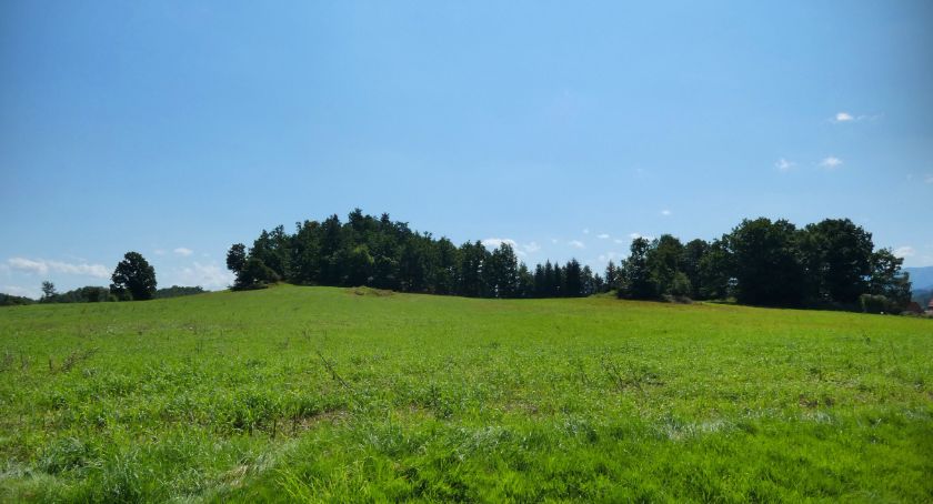 Wzniesienie Żabiniec