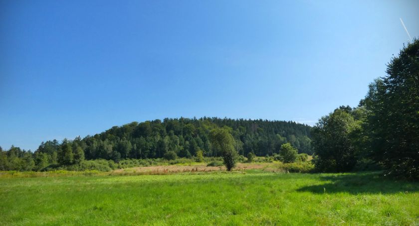 Wzgórze Ziębiniec