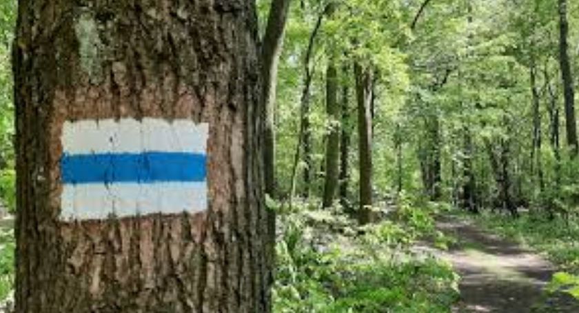 Zmiany oznakowań szlaków turystycznych na terenie Karkonoskiego Parku Narodowego
