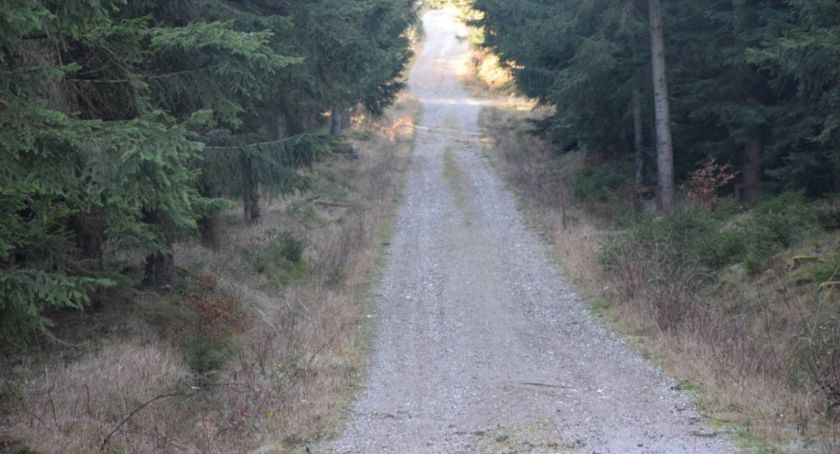 Droga Chomontowa - Spacer z pięknymi widokami