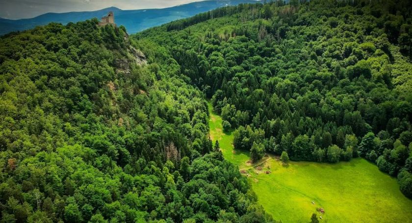 Czym różni się park narodowy, od rezerwatu przyrody?