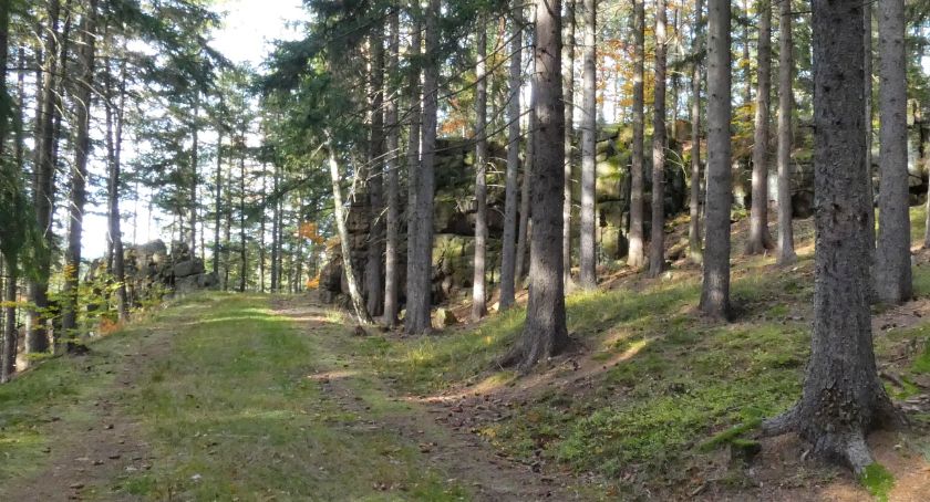 Grupa skalna – Schodki