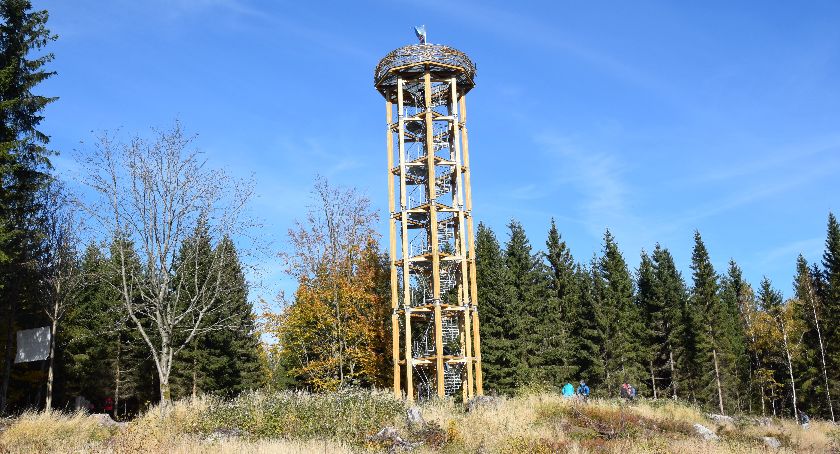 Wieża widokowa na górze Světlý vrch w Albrechticach