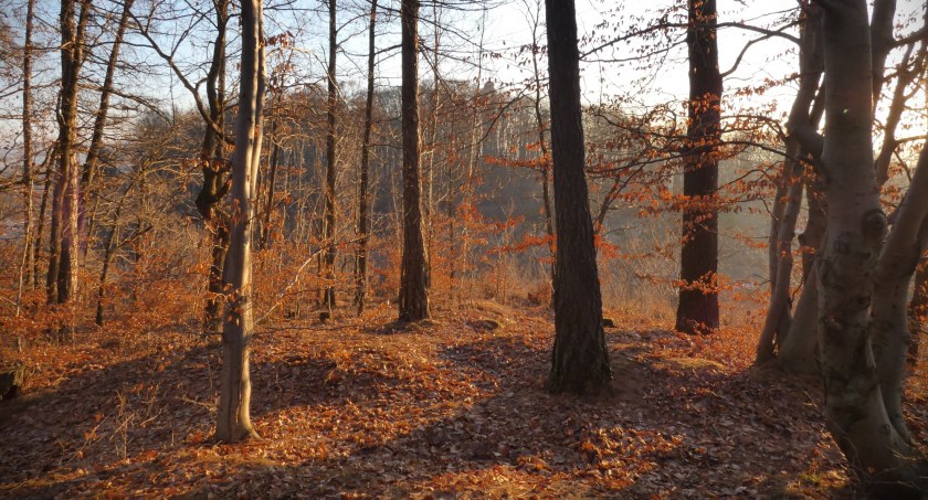 Wzgórze Kapliczna