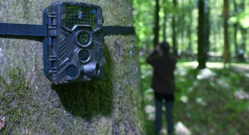 Fotopułapki na trasach biegowych w Górach Sowich