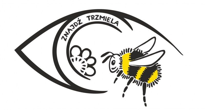 Sfotografuj trzmiela