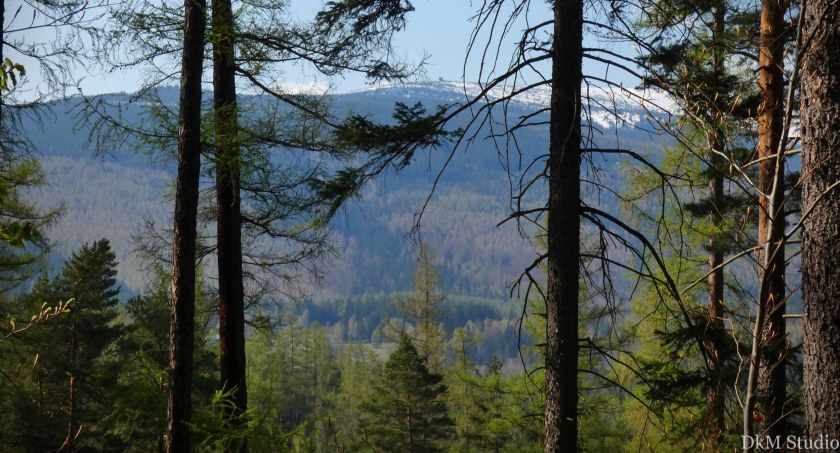 Wierzchnica – wzgórze z widokiem na Karkonosze