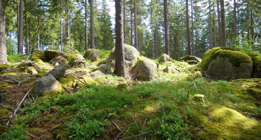 Niedzwiednik – wzgórze usłane granitami