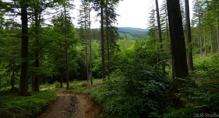 Dolina Ziębia – romantyczne miejsce na spacer