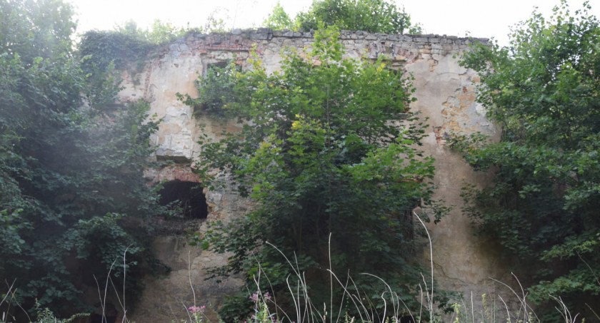 Żałosne ruiny pałacu w Zagrodnie