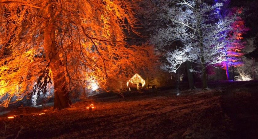 Magia światła i kolorów w Ogrodzie Ducha Gór