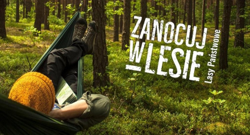 Zanocuj w lesie
