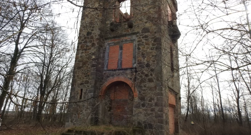 Ruiny Wieży Woldeckiej w Biedrzychowicach