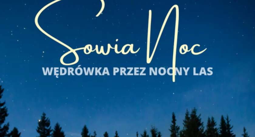 Sowia Noc –wędrówka przez nocny las