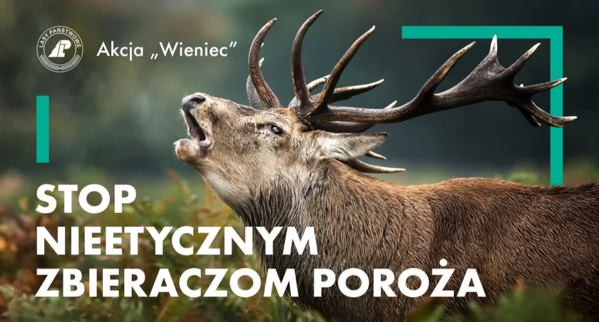 Akcja Wieniec - #Bądźdobrydlazwierząt