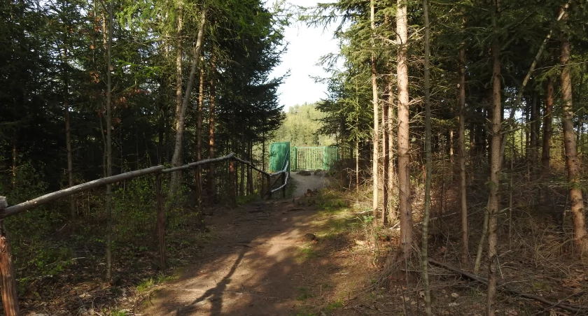 Trafalgar - Punkt widokowy nad Borowym Jarem