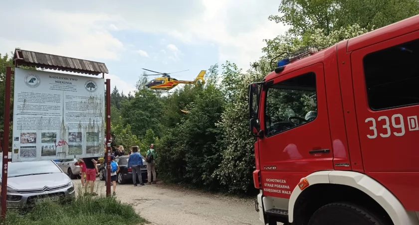 Szlak na Ślężę. Konar drzewa spadł na turystę.
