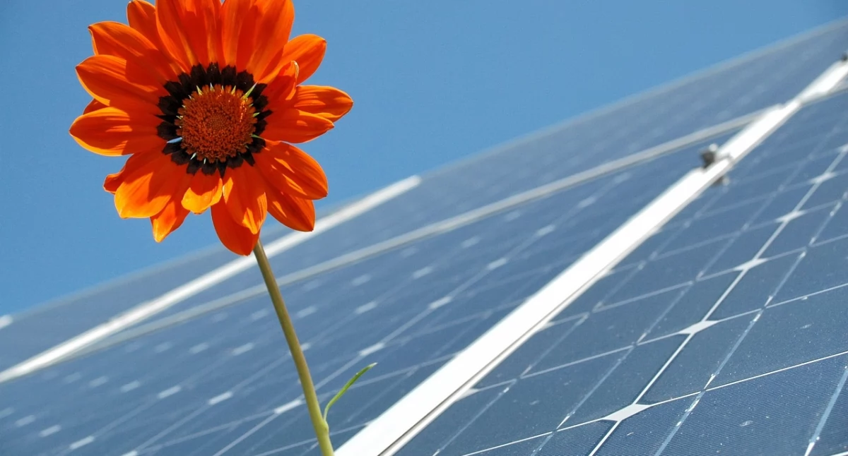 Energia słoneczna, fotowoltaika jako sposób na energetyczną niezależność
