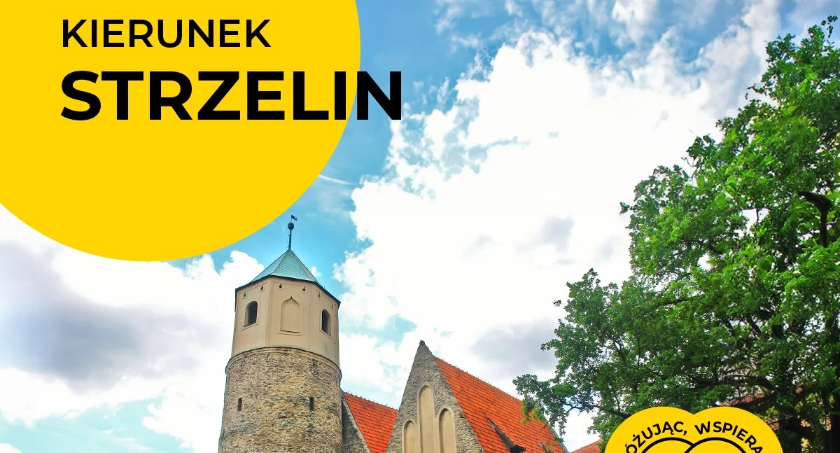 Z Kolejami Dolnośląskimi do Strzelina