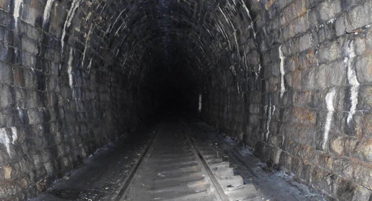 Nietoperze w kowarskim tunelu. Modernizacja linii kolejowej na torze kolizyjnym z naturą.