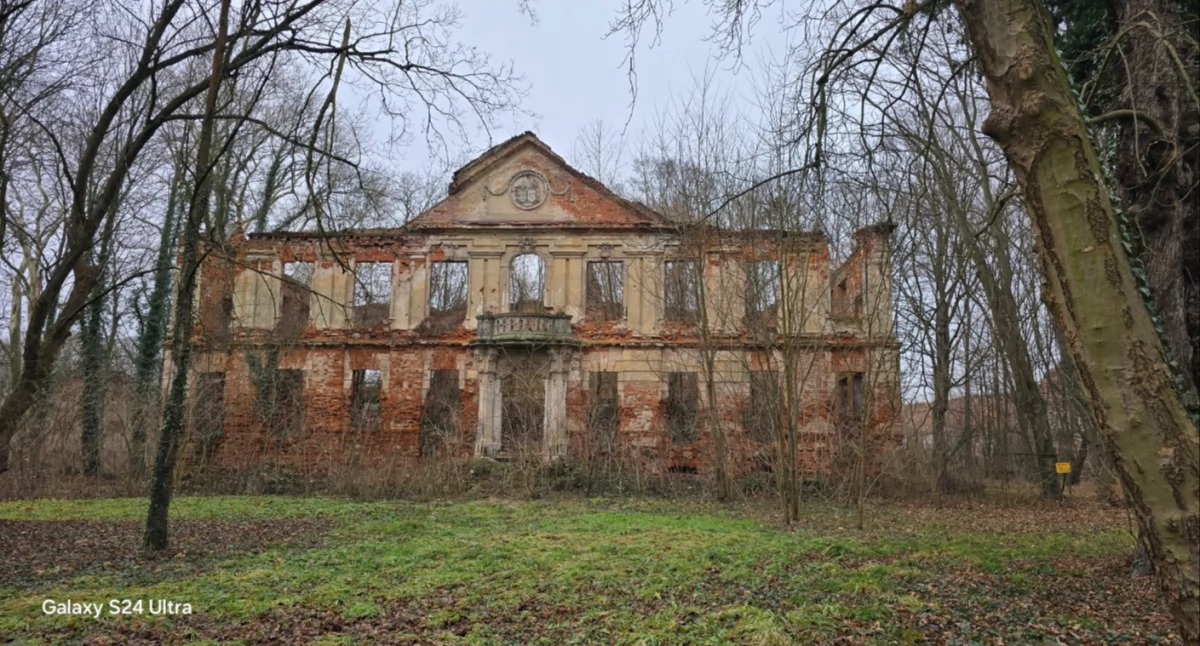 Pałac w Zaborowie – historia zapisana w ruinach