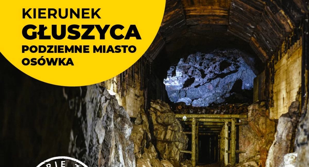 Kierunek Głuszyca. Wycieczka z Kolejami Dolnośląskimi