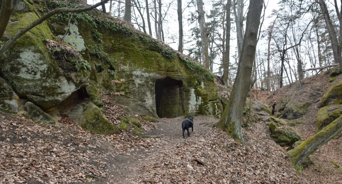Tajemnice zamku Hynšta – ukryty bastion Braci Czeskich