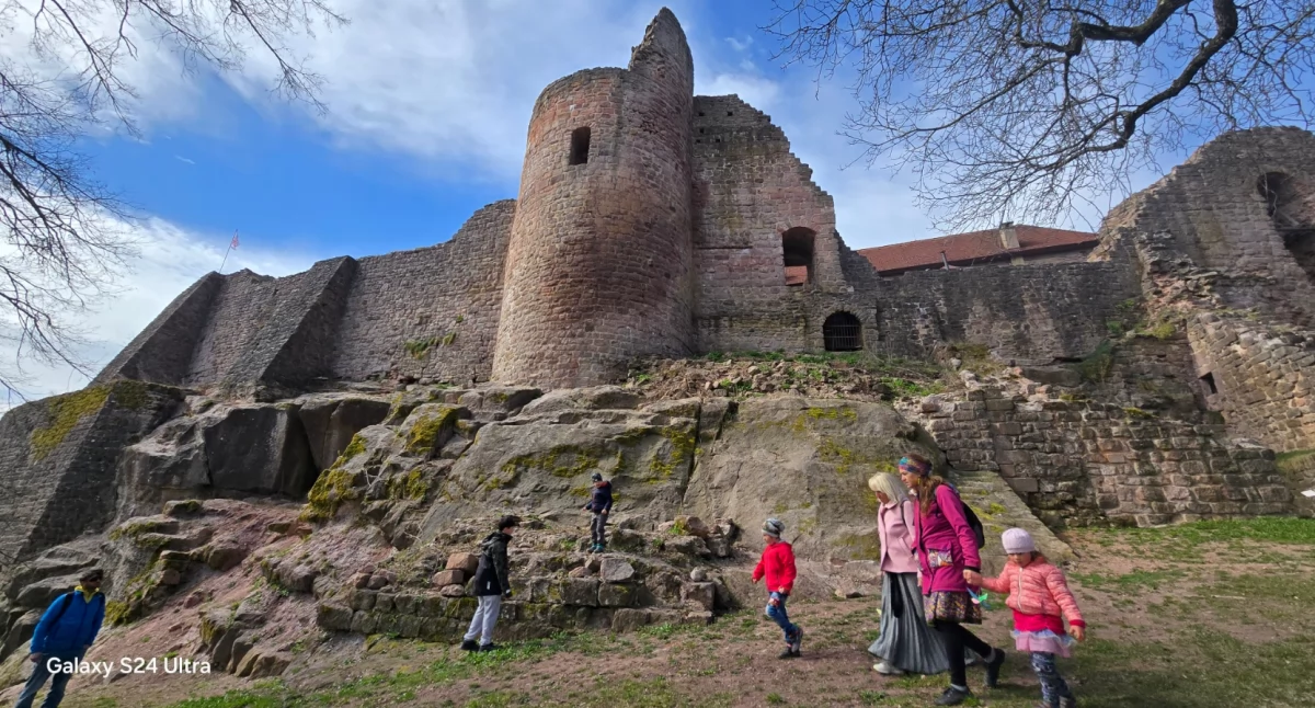Zamek Pecka: Gdy historia spotyka się z żywą tradycją