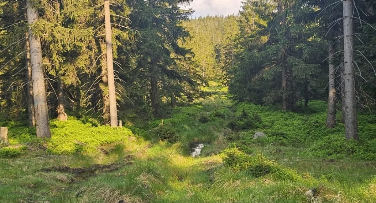 Karkonosze jakich nie znasz. Zapomniane ścieżki do miejsc nieoczywistych.