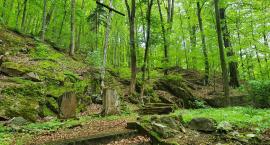Rodowy cmentarz Bergmanów w Wojcieszowie - Miejsce niezwykłe