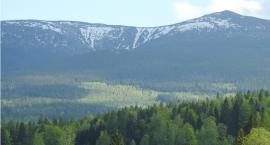 Piętro alpejskie w Karkonoszach
