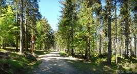 Wysoki Most – karkonoski łącznik szlaków