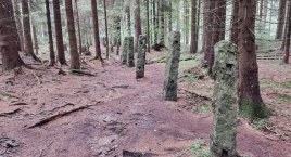 Osiem tysięcy granitowych słupków. Pozostałości niezwykłej zagrody w Górach Izerskich