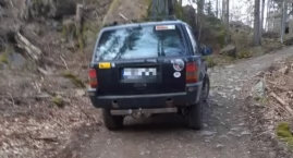 Czy można wjechać samochodem do lasu?
