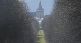 Aleja Lipowa w Jiczinie - Najstarsza w całych Czechach