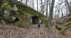 Tajemnice zamku Hynšta – ukryty bastion Braci Czeskich