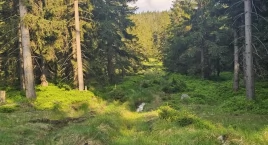 Karkonosze jakich nie znasz. Zapomniane ścieżki do m&hellip;